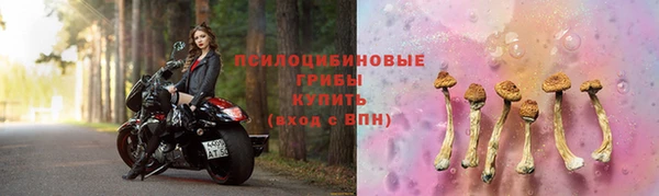 гашик Беломорск