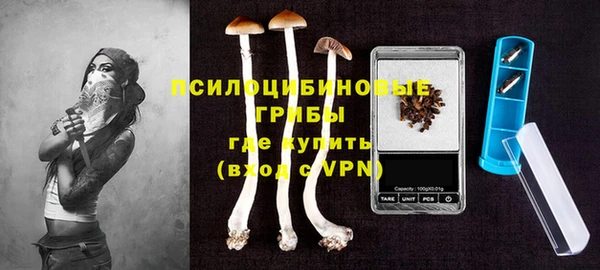 прущая мука Богородицк